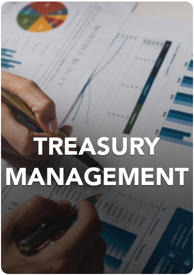 Learn About Treasury Management